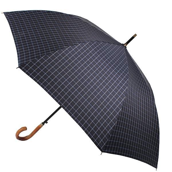 Зонт мужской Flioraj 23241 FJ Flioraj, Артикул: 23241 FJ фото №1