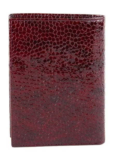 Обложка на паспорт + портмоне мужская кожаная Petek 597.089.03 Petek, Артикул: 597.089.03 фото №1