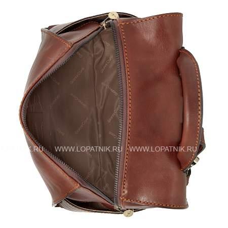 рюкзак коричневый gianni conti 913147 dark brown Gianni Conti