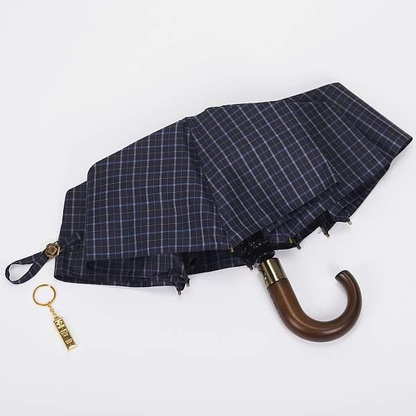 Зонт мужской синий Flioraj 41031 FJ Flioraj, Артикул: 41031 FJ фото №1