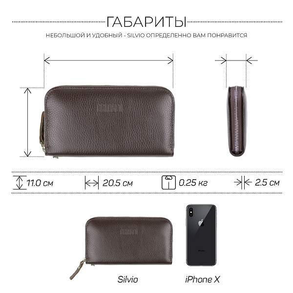 Мужской клатч BRIALDI Silvio (Сильвио) relief brown BR19842AL Коричневый Brialdi, Артикул: BR19842AL фото №1