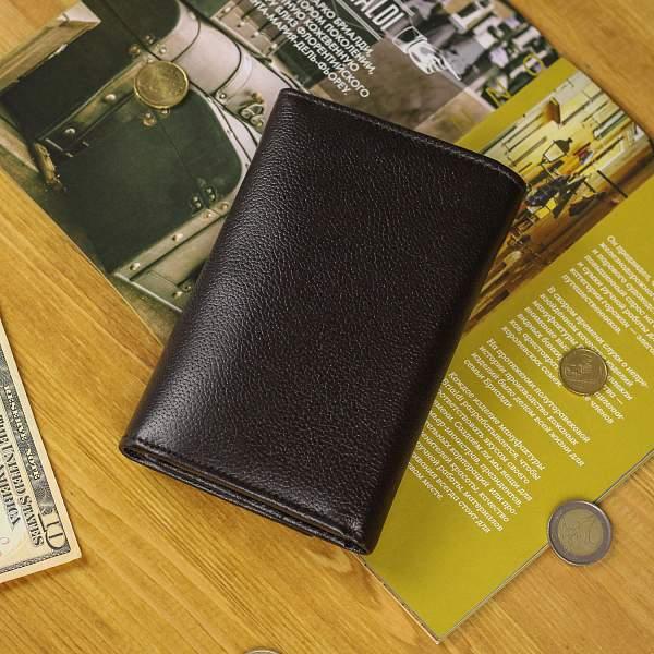 Солидное портмоне BRIALDI Brooklyn (Бруклин) relief brown BR50767DG Коричневый Brialdi, Артикул: BR50767DG фото №1