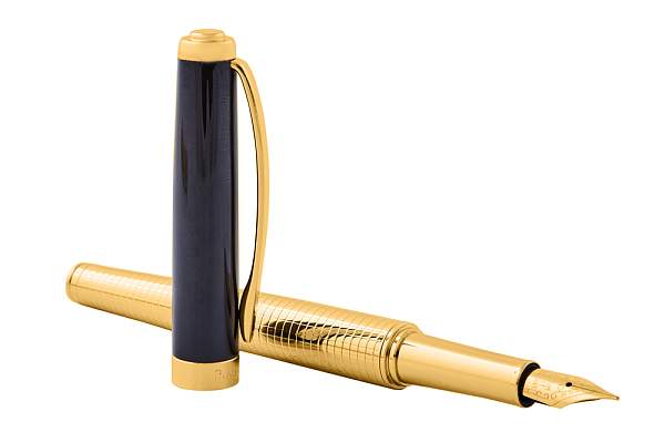 Ручка перьевая Pierre Cardin GOLDEN. Цвет - золотистый и черный. Упаковка B-1 PC8112FP Pierre Cardin, Артикул: PC8112FP фото №1