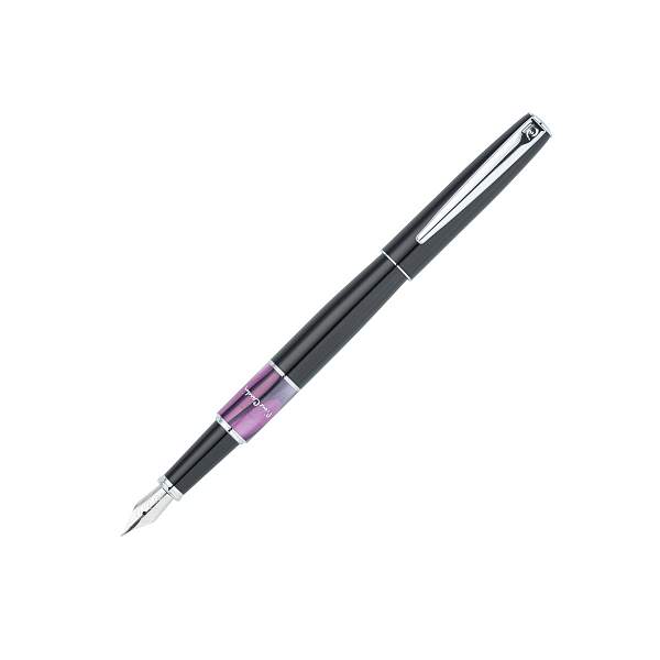 Ручка перьевая Pierre Cardin LIBRA, цвет - черный и фиолетовый. Упаковка В. PC3405FP-02 Pierre Cardin, Артикул: PC3405FP-02 фото №1