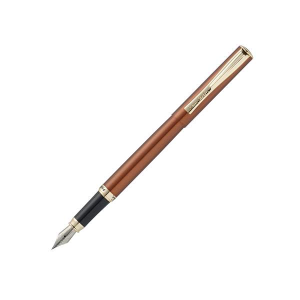 Ручка перьевая Pierre Cardin ECO, цвет - коричневый металлик. Упаковка Е PC0866FP Pierre Cardin, Артикул: PC0866FP фото №1