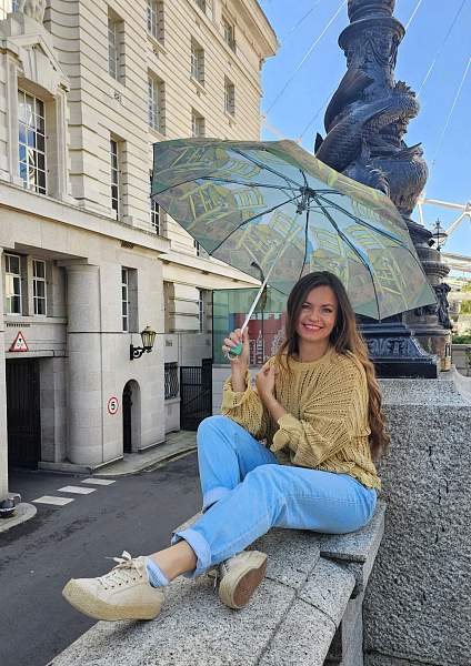 L849-4115 VangoghChair (Стул Винсента, В.Гог) Зонт женский механика Fulton Fulton, Артикул: L849-4115 VangoghChair фото №1