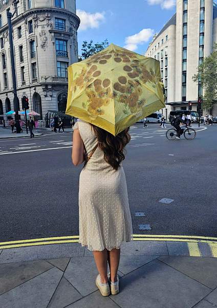 L794-2348 Sunflower (Подсолнухи В.Гог) Зонт женский механика Fulton Fulton, Артикул: L794-2348 Sunflower фото №1