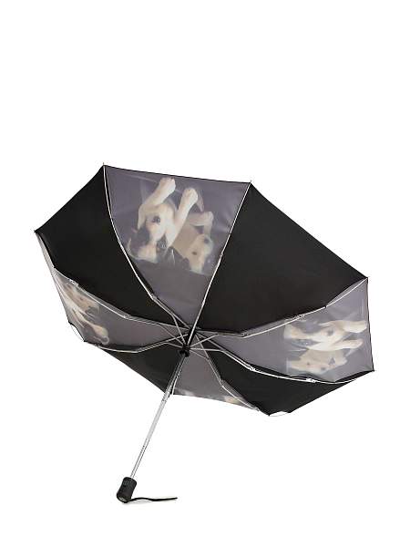 R346-3361 JackRussell (Джек Рассел) Зонт женский автомат Fulton Fulton, Артикул: R346-3361 JackRussell фото №1