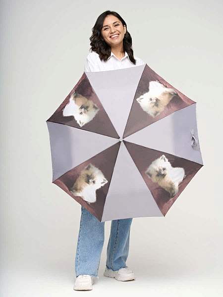 R346-3362 Cutekitty (Котенок) Зонт женский автомат Fulton Fulton, Артикул: R346-3362 Cutekitty фото №1