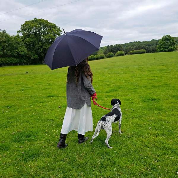 L893-01 Black (Черный) Зонт женский трость Fulton Fulton, Артикул: L893-01 Black фото №1