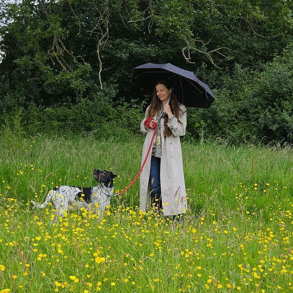 L345-01 Black (Черный) Зонт женский автомат Fulton Fulton, Артикул: L345-01 Black фото №1