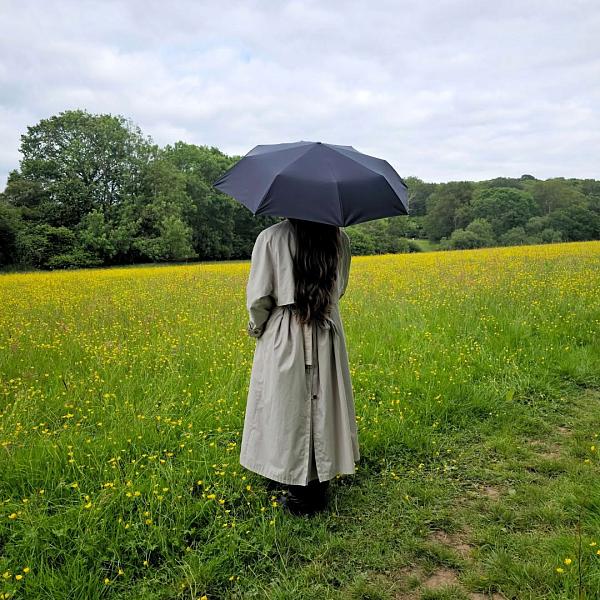 L345-01 Black (Черный) Зонт женский автомат Fulton Fulton, Артикул: L345-01 Black фото №1