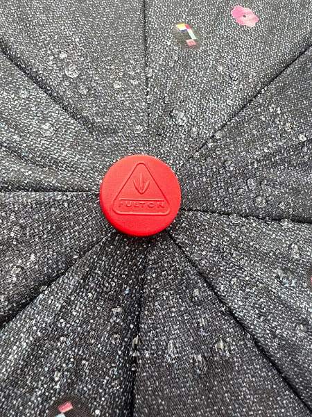 R346-1348 PurdyPrincess (Кошки) Зонт женский автомат Fulton Fulton, Артикул: R346-1348 PurdyPrincess фото №1