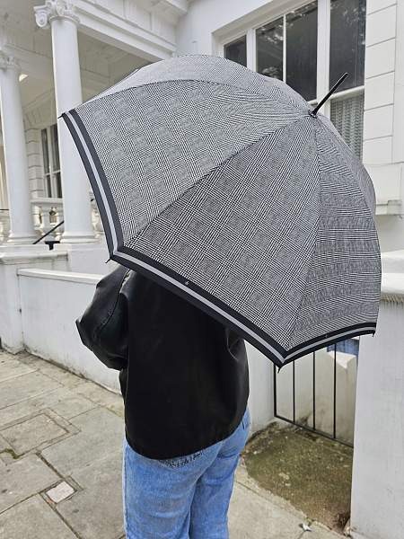 L065-2244 PowStripe (Гусиная лапка) Зонт женский трость автомат Fulton Fulton, Артикул: L065-2244 PowStripe фото №1