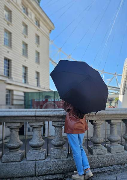 G323-01 Black (Черный) Зонт мужской автомат Fulton Fulton, Артикул: G323-01 Black фото №1