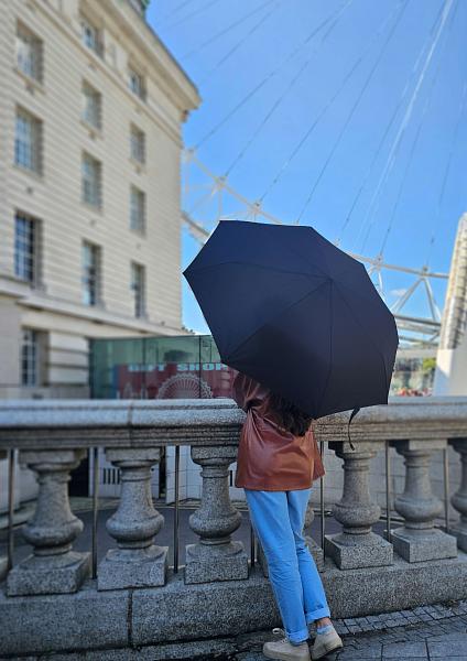 G323-01 Black (Черный) Зонт мужской автомат Fulton Fulton, Артикул: G323-01 Black фото №1