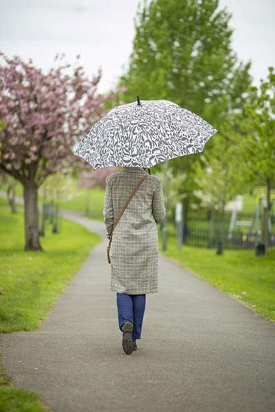 S925-4272 ChicLeopard (Леопард) Зонт женский трость Fulton Fulton, Артикул: S925-4272 ChicLeopard фото №1