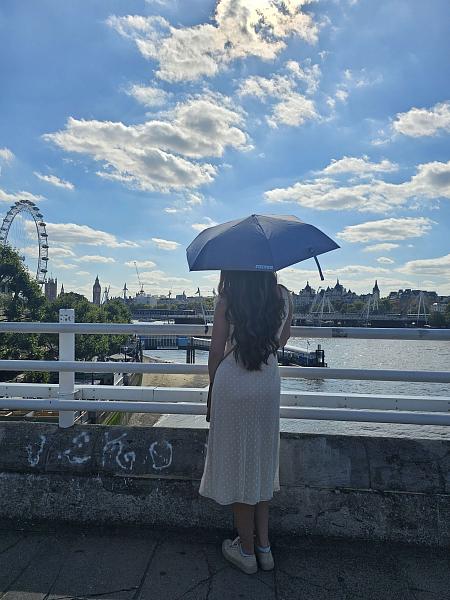 L924-4274 BlueChambray (Синий) Зонт женский механика Fulton Fulton, Артикул: L924-4274 BlueChambray фото №1