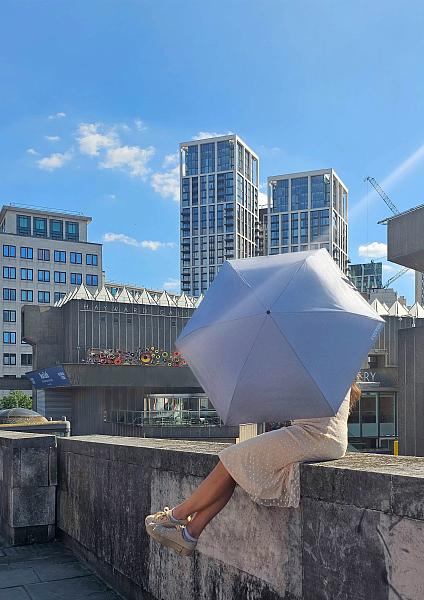 L924-4274 BlueChambray (Синий) Зонт женский механика Fulton Fulton, Артикул: L924-4274 BlueChambray фото №1