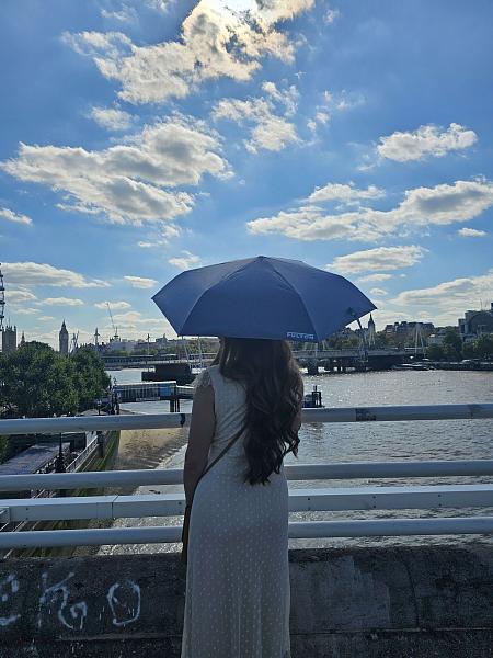 L924-4274 BlueChambray (Синий) Зонт женский механика Fulton Fulton, Артикул: L924-4274 BlueChambray фото №1