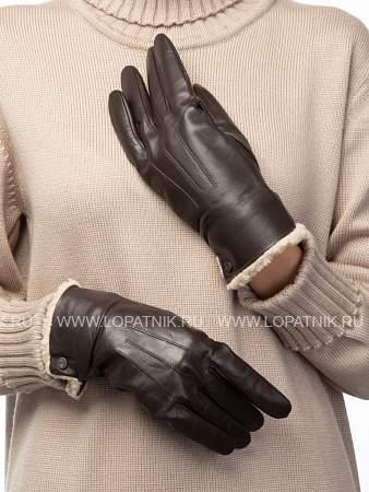 перчатки жен п/ш lb-0204 d.brown lb-0204 Labbra