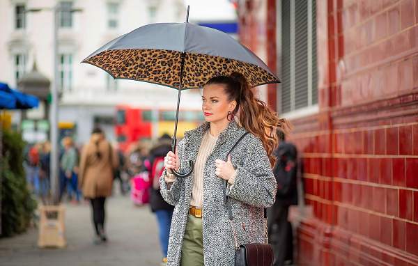 L754-3791 Lynx (Рысь) Зонт женский трость автомат Fulton Fulton, Артикул: L754-3791 Lynx фото №1