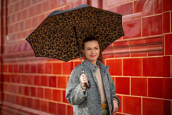 L754-3791 Lynx (Рысь) Зонт женский трость автомат Fulton Fulton, Артикул: L754-3791 Lynx фото №1