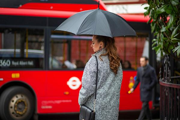 L754-3791 Lynx (Рысь) Зонт женский трость автомат Fulton Fulton, Артикул: L754-3791 Lynx фото №1