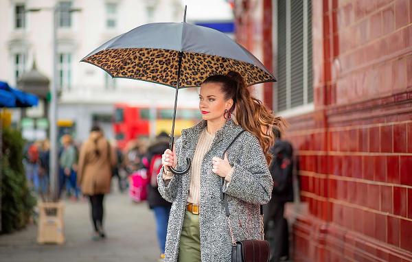 L754-3791 Lynx (Рысь) Зонт женский трость автомат Fulton Fulton, Артикул: L754-3791 Lynx фото №1