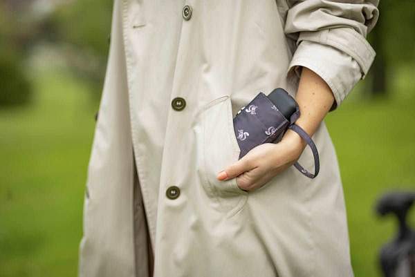 L501-4123 SidneySquirrel (Белки) Зонт женский механика Fulton Fulton, Артикул: L501-4123 SidneySquirrel фото №1