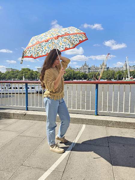 L907-4316 MadderFruit (Плоды марены) Зонт женский Morris Co Fulton Fulton, Артикул: L907-4316 MadderFruit фото №1