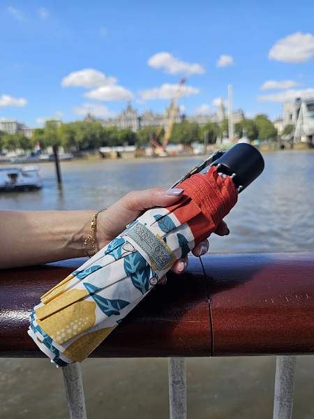 L907-4316 MadderFruit (Плоды марены) Зонт женский Morris Co Fulton Fulton, Артикул: L907-4316 MadderFruit фото №1