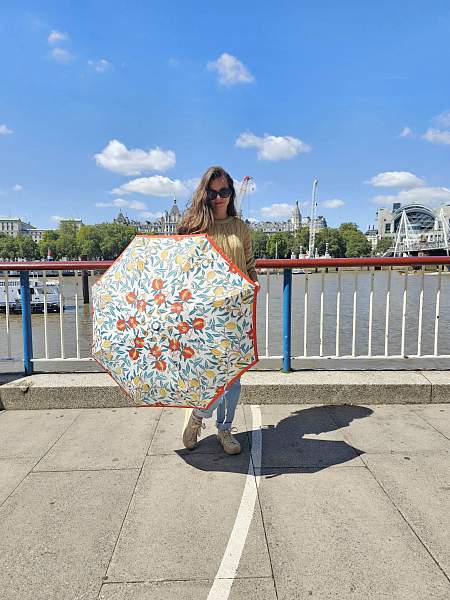 L907-4316 MadderFruit (Плоды марены) Зонт женский Morris Co Fulton Fulton, Артикул: L907-4316 MadderFruit фото №1