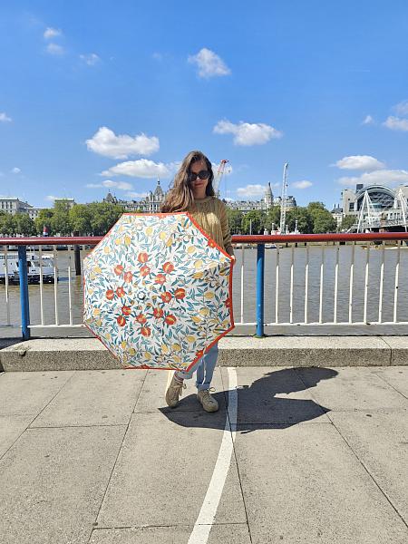 L907-4316 MadderFruit (Плоды марены) Зонт женский Morris Co Fulton Fulton, Артикул: L907-4316 MadderFruit фото №1