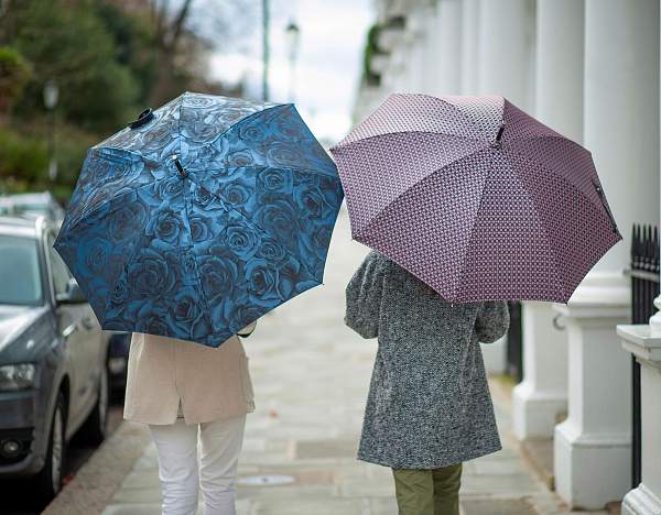 L850-4281 NavyRose (Розы) Зонт женский Fulton Fulton, Артикул: L850-4281 NavyRose фото №1