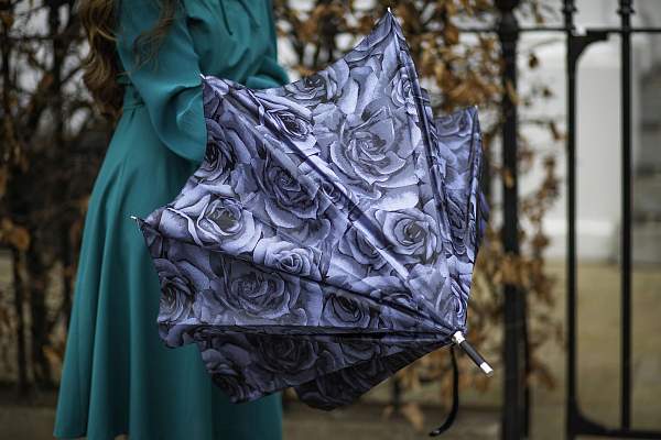 L850-4281 NavyRose (Розы) Зонт женский Fulton Fulton, Артикул: L850-4281 NavyRose фото №1