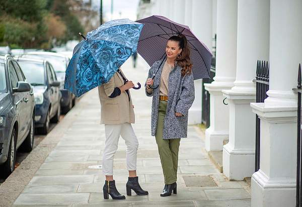 L850-4281 NavyRose (Розы) Зонт женский Fulton Fulton, Артикул: L850-4281 NavyRose фото №1