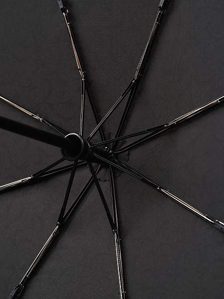 Q25812 (Классика) Зонт женский автомат Henry Backer Henry Backer, Артикул: Q25812 фото №1