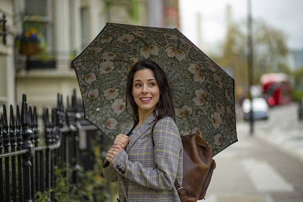 L856-4368 PimpernelBayleafManilla (Первоцвет) Зонт женский трость Morris Co Fulton Fulton, Артикул: L856-4368 PimpernelBayleafManilla фото №1