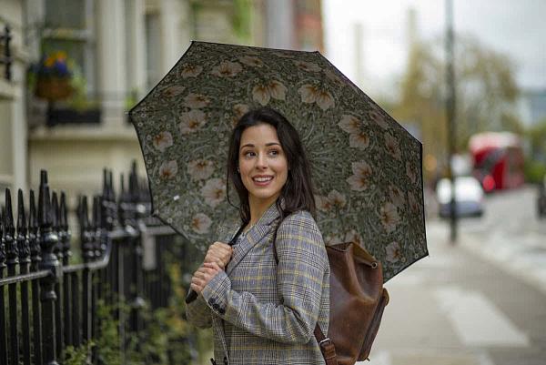 L856-4368 PimpernelBayleafManilla (Первоцвет) Зонт женский трость Morris Co Fulton Fulton, Артикул: L856-4368 PimpernelBayleafManilla фото №1