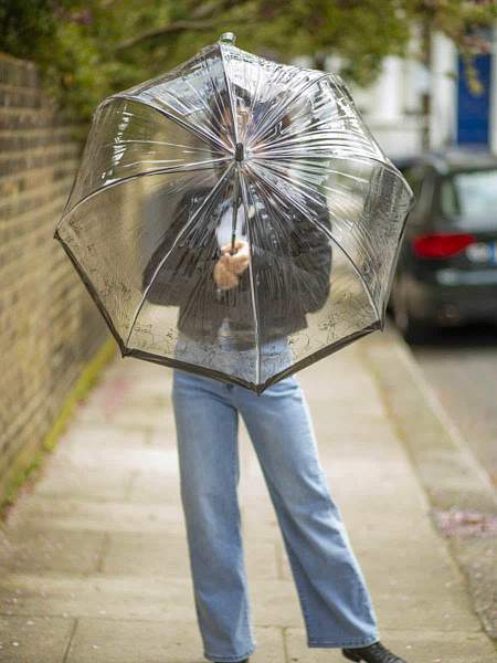 L042-4425 Cats (Кошки) Зонт женский трость Fulton Fulton, Артикул: L042-4425 Cats фото №1