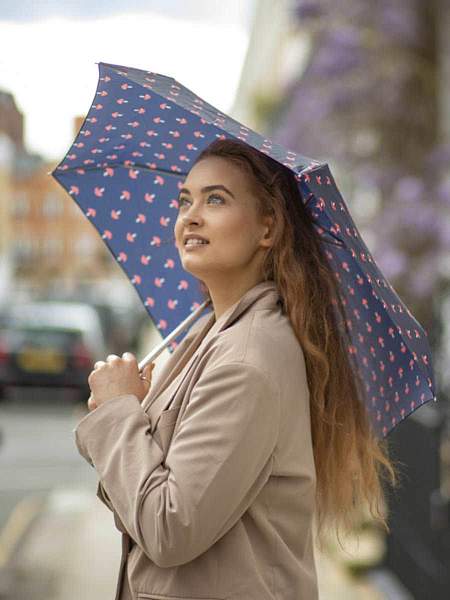 L501-4414 Mushrooms (Грибы) Зонт женский механика Fulton Fulton, Артикул: L501-4414 Mushrooms фото №1