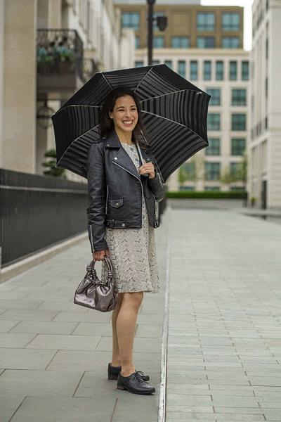 L354-4418 SilverStripes (Серебряные полосы) Зонт женский механика Fulton Fulton, Артикул: L354-4418 SilverStripes фото №1