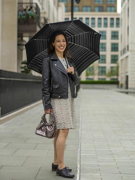 L354-4418 SilverStripes (Серебряные полосы) Зонт женский механика Fulton Fulton, Артикул: L354-4418 SilverStripes фото №1