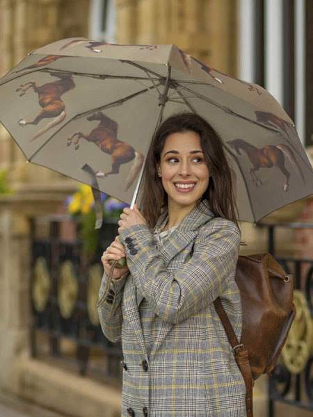 L849-4389 StubbsWhistlejacket (Уистлиджейкет,Д.Стаббс) Зонт женский механика Fulton Fulton, Артикул: L849-4389 StubbsWhistlejacket фото №1