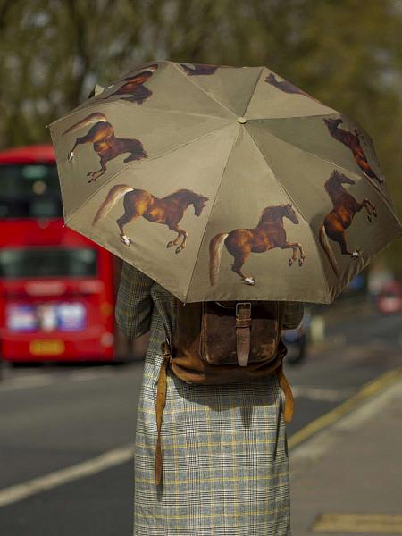 L849-4389 StubbsWhistlejacket (Уистлиджейкет,Д.Стаббс) Зонт женский механика Fulton Fulton, Артикул: L849-4389 StubbsWhistlejacket фото №1