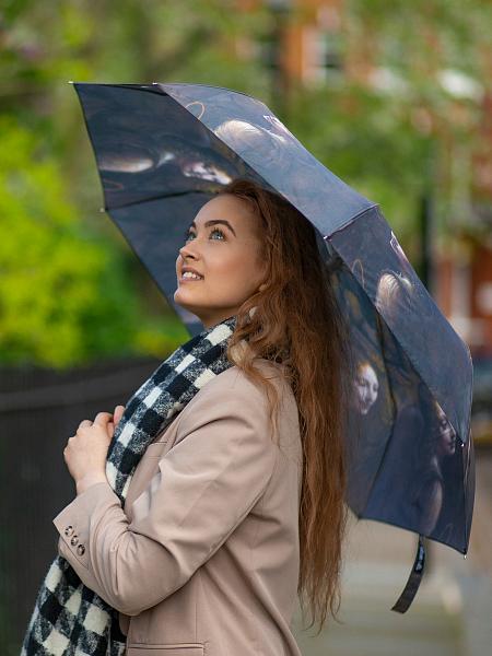 L849-4434 AngelfromTheVirginOfTheRock (Мадонна в скалах,Л.Винчи) Зонт женский механика Fulton Fulton, Артикул: L849-4434 AngelfromTheVirginOfTheRock фото №1