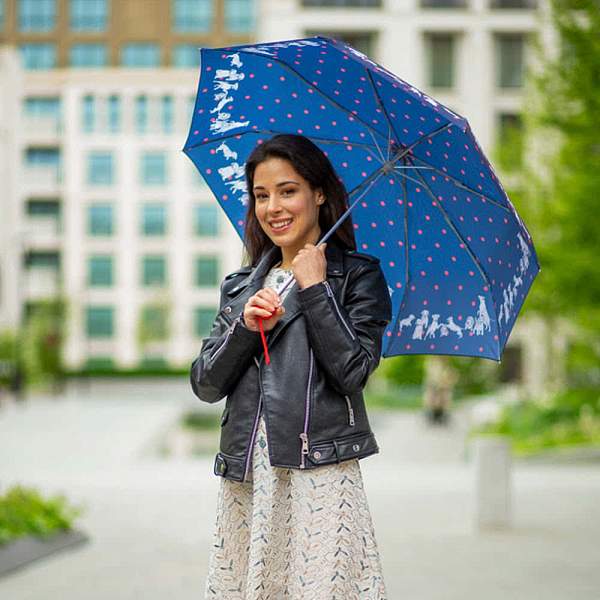 L354-4419 Mili'sFriends (Друзья) Зонт женский механика Fulton Fulton, Артикул: L354-4419 Mili'sFriends фото №1