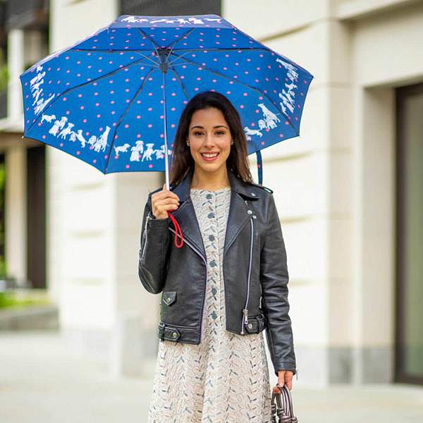 L354-4419 Mili'sFriends (Друзья) Зонт женский механика Fulton Fulton, Артикул: L354-4419 Mili'sFriends фото №1