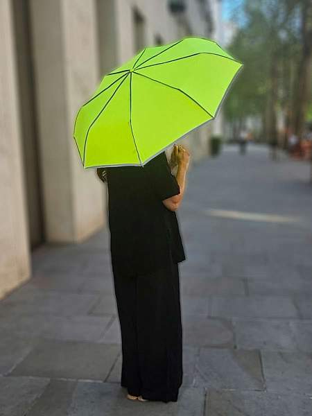 L353-4375 Neon (Неон) Зонт женский механика Fulton Fulton, Артикул: L353-4375 Neon фото №1